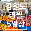 장날 | 영월 5일장 날짜 언제 | 주차 위치까지 한눈에 4일 / 9일 장날 후기