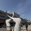 남당야채 | 남당항 새조개 동백회수산 내돈내산 솔직후기