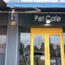 퍼독 애견호텔 이미지