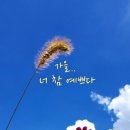 찬샘 이미지
