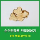 자생건강원