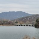 명동호프 이미지