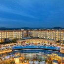 커넥팅제주 이미지