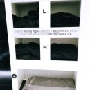 라이브짐 세교점 | 다양한 운동기구가 있는 24시 오산 헬스장 라이브짐 세교점