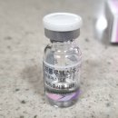 11260-2-14-2 | 임신준비 동결배아1차, 시술과정 후기 및 비용 [시험관 2차]