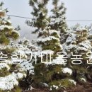 솔향기농원