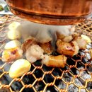 오발탄 Daum카페