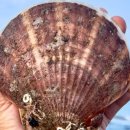 더힐글램핑 이미지