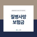 법무법인모악부안분사무소