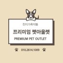 나주종합동물병원 이미지