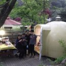 동화나라 애견 이미지