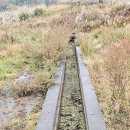 수문목장 이미지