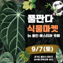 아스타 빌 이미지