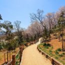 임학공원 출렁다리 이미지