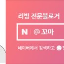 플렉스온 주식회사 네이버블로그