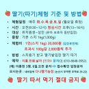 다나농장