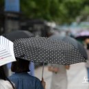 (주)주일해상
