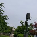 공존2000613 이미지