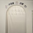 골든햄스터분양 탬펫 강남점 이미지