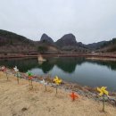 황성주생식 군산지점 | 진안 가볼만한곳 진안 마이산 벚꽃 ~ 부귀메타세콰이어길