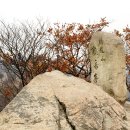 명월 팽나무군락 | 계룡산의 추억을 찾아서(19.11.2) 인기 백대명산 8위