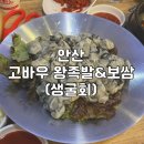 고바우왕족발