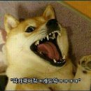 인 이미지