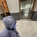 THE NEW CENTER | 밴쿠버 어학연수 후기 | 16주차 | New York🇺🇸