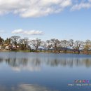 복사꽃향기 이미지