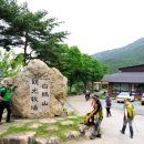백아산관광목장백아산눈썰매장 티스토리