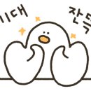 최씨부엌족발 이미지