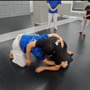 현무태권도장 이미지