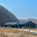 ☕ [느좋 카페 시리즈 11] 묵리459 Ι 먹을 만들던 마을에 자리한 먹을 닮은 용인 로스터리 브런치 카페