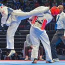 대표태권도 이미지