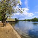 하이드파크 이미지