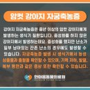 한마음종합동물병원 네이버블로그