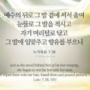 둘자네 이미지