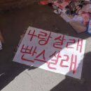 나랑 살래 빤스 살래