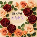 테산 카페지기 응삼아제님과 붉은여우님 결혼 40주년 축하합니다.^^🩷🩷🩷💕💕💕 이미지