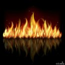 삼성에스디에스새마을금고 이미지