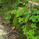 합천박물관 관광안내소 이미지