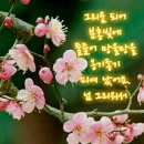 꽃봄봄 이미지