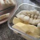 야옹아멍멍아밥먹자 | [순기] 벌써부터 여름시작?