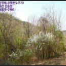 원평보건진료소 이미지