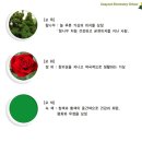 과역초등학교 이미지