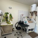 개스트살롱 이미지