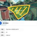 여수섬섬부동산중개사무소 | 바다까지 약 150m, 바다가 보이는 바닷가주택, 낭도 섬집 매매, 6800만원