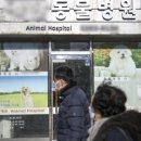 펫케어 동물병원 이미지