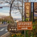 성산일출봉 인근 실내관광지 빛의 벙커 관람시간 요금 몰입형 미디어아트 제주커피박물관 바움