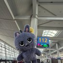 수진축구장 | 🧡 행삼소 in saitama super arena